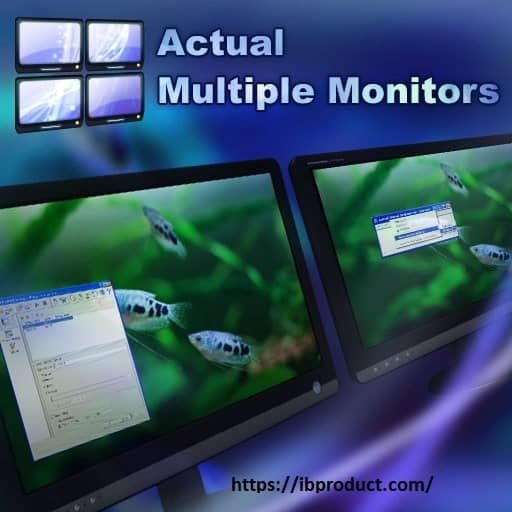 Actual Multiple Monitors 8.14.5 Crack With License Key Free Download